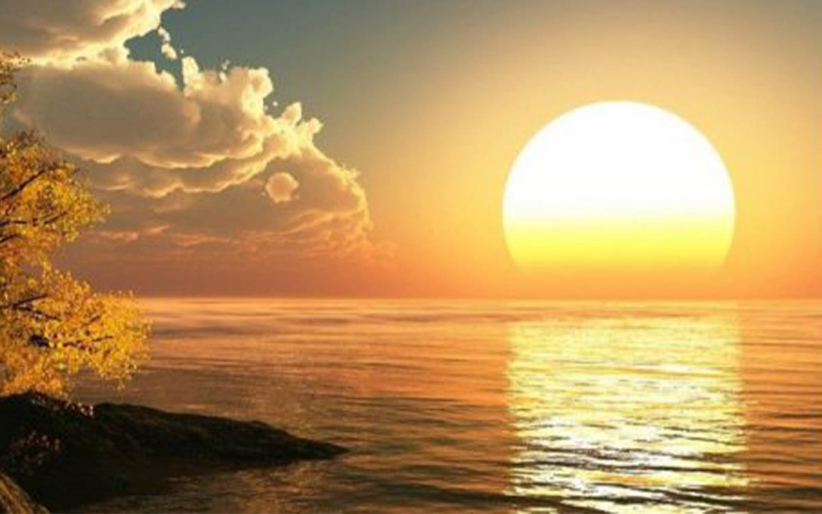 Cure antiparasitaire