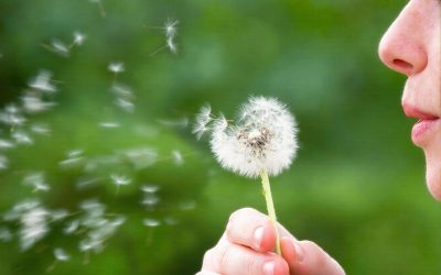 Les recommandations du Dr Clark  lors d’allergies